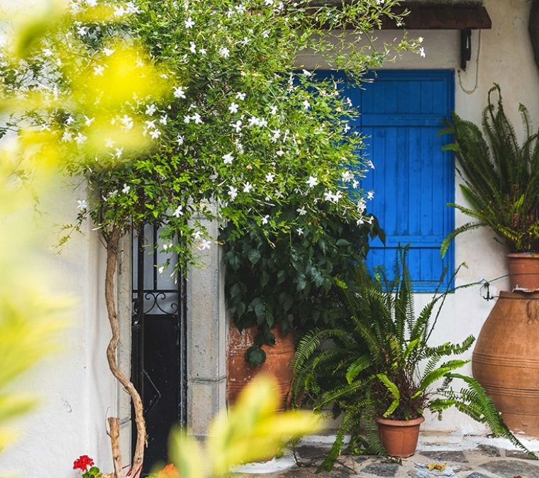 Comment éloigner les moustiques et autres bêbêtes de votre maison ?