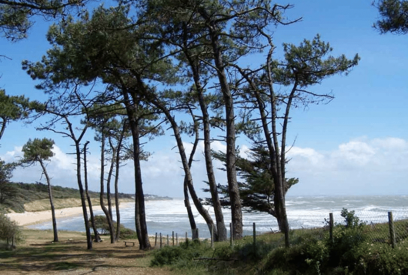 Conciergerie hoomy à Jard-sur-Mer et gestion locative