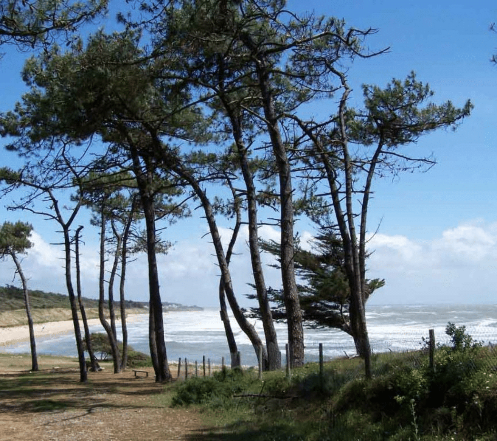 Conciergerie hoomy à Jard-sur-Mer et gestion locative