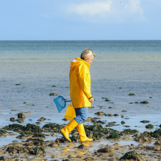 Les meilleurs spots de pêche à pied dans l'Ouest