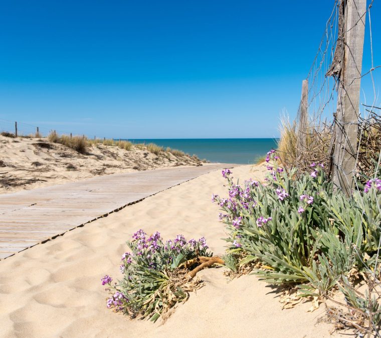 Découvrez notre service de gestion locative en Gironde !