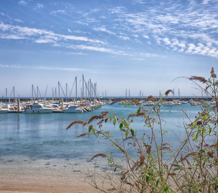 Gestion locative et immobilière hoomy à Jard-sur-Mer