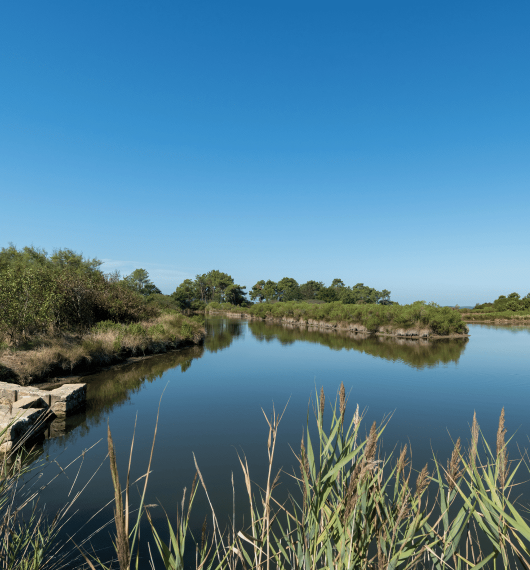 Agence hoomy à Andernos-les-Bains et gestion locative