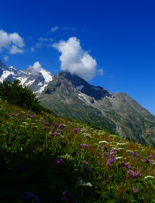 Services de gestion locative hoomy Hautes-Alpes