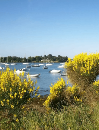 Services de conciergerie hoomy Morbihan